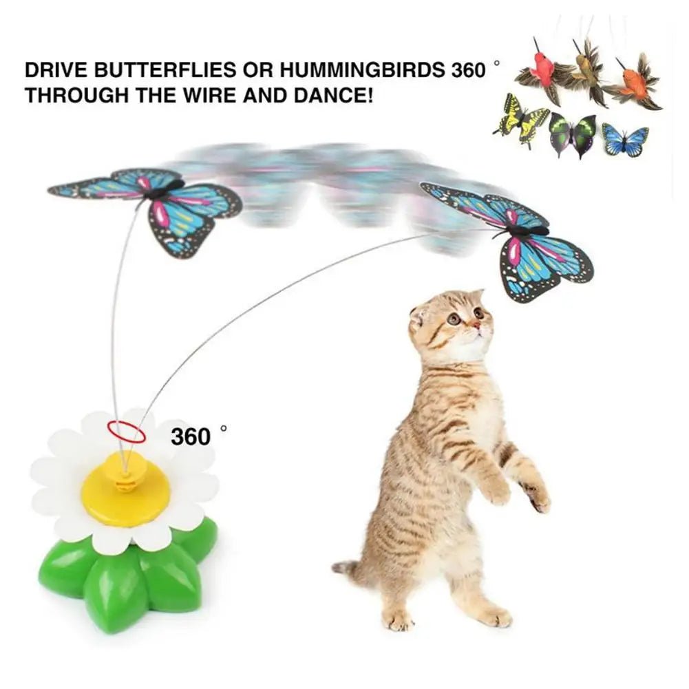 Electric Butterfly Cat Toy Shake Rotating Flying Automatic Humming Bird Intelligence Training Funny Pet Toys Random Color - StarJam