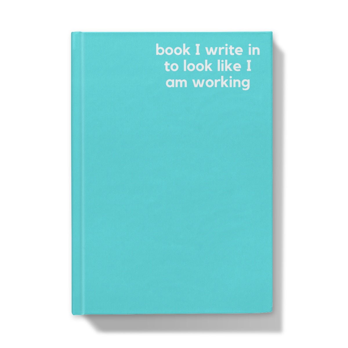 Look Like I Am Working - Naughty Pad - Light Blue Hardback Journal - StarJam Stationery