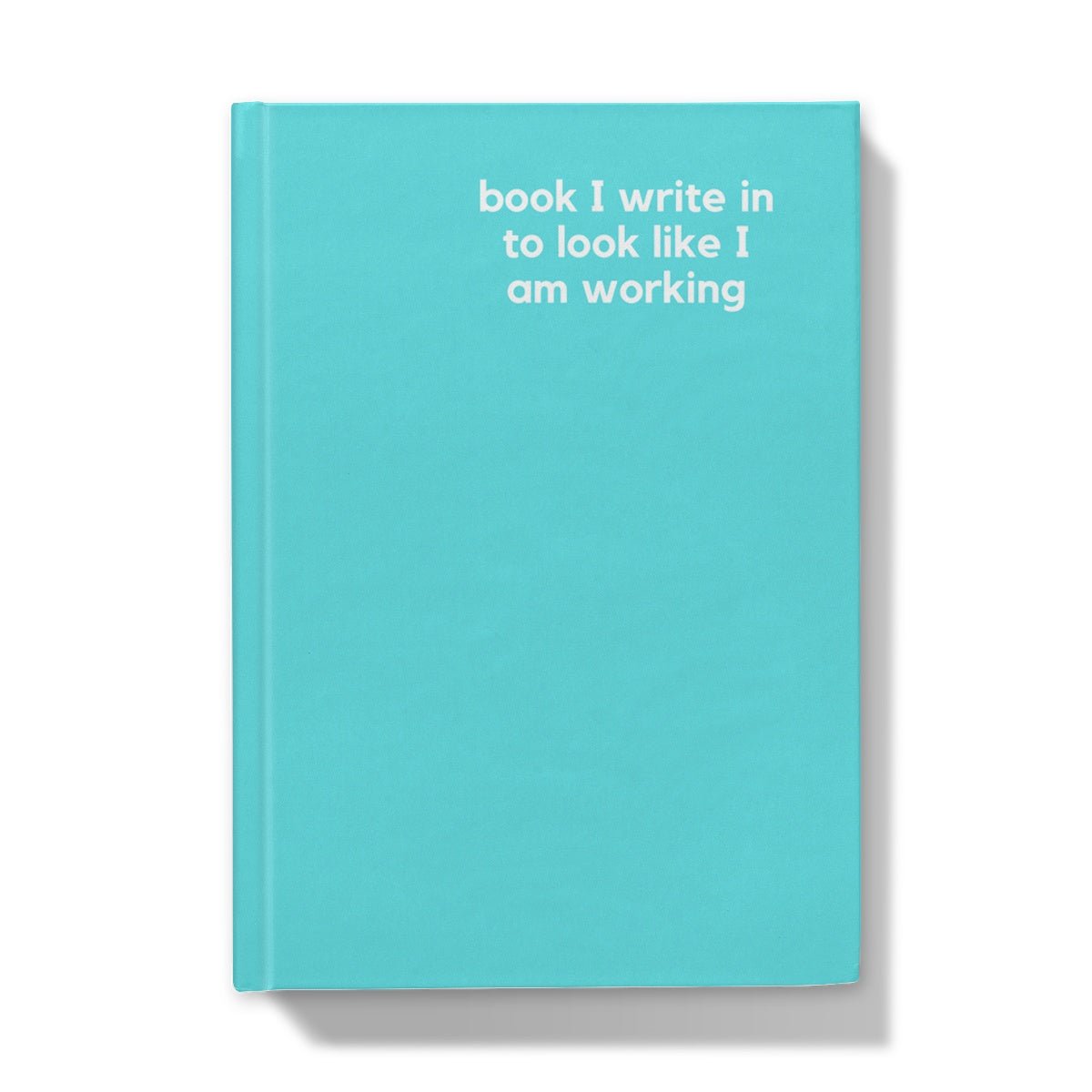 Look Like I Am Working - Naughty Pad - Light Blue Hardback Journal - StarJam Stationery