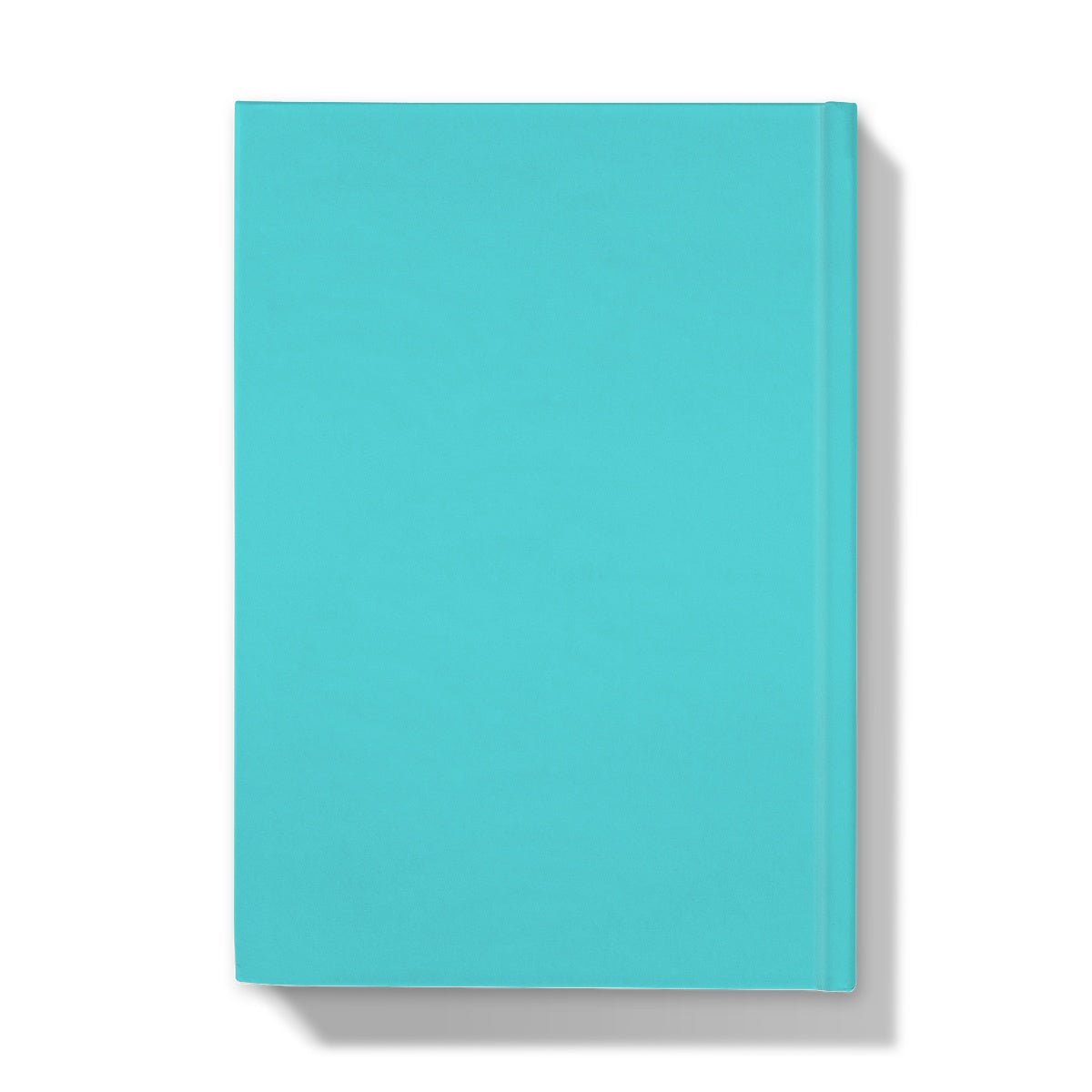 Look Like I Am Working - Naughty Pad - Light Blue Hardback Journal - StarJam Stationery