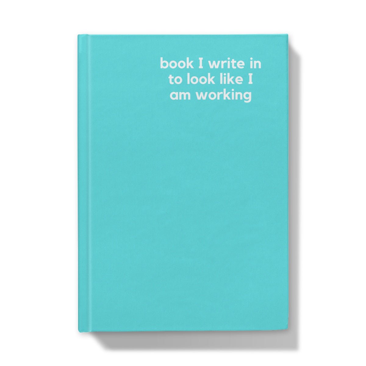 Look Like I Am Working - Naughty Pad - Light Blue Hardback Journal - StarJam Stationery